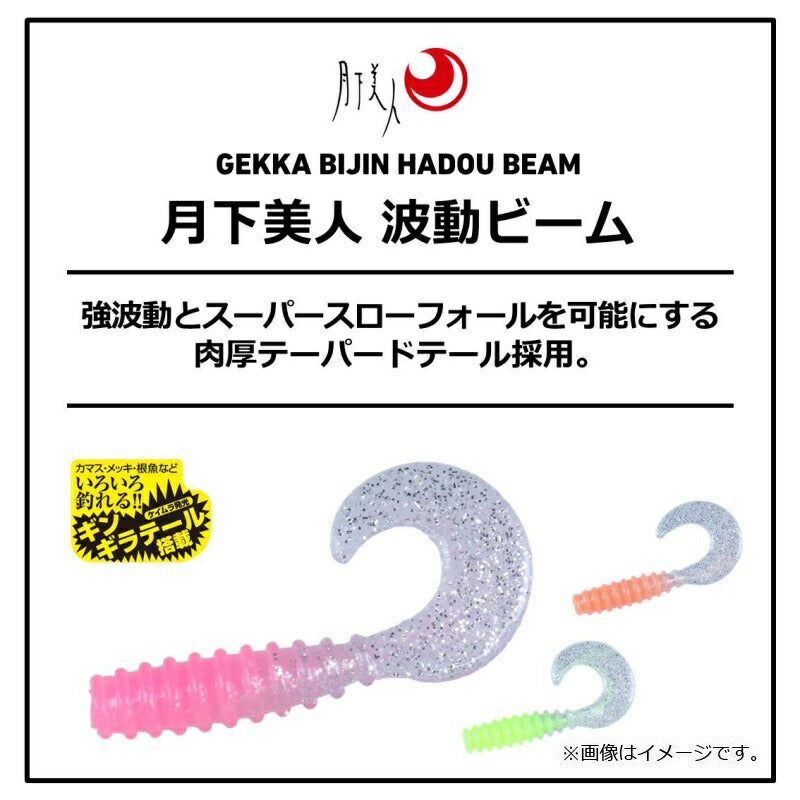 月下美人 波動ビーム 1.5インチ