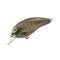 リアルブルーギル