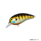 タイニーピーナッツ DR