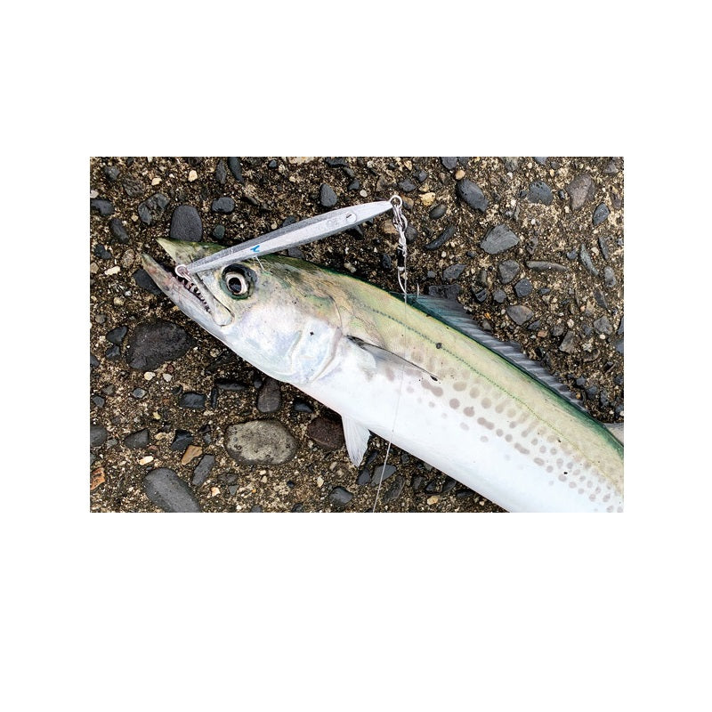 JW-L42T コルトスナイパー サゴシジグ 42g　