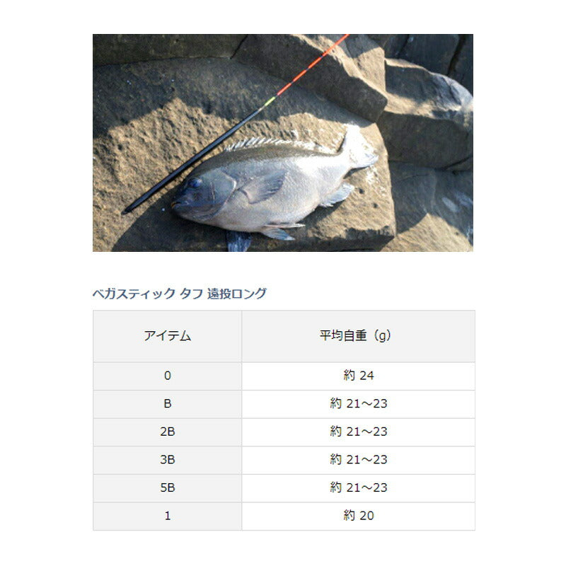 ベガスティック タフ 遠投ロング (自立)