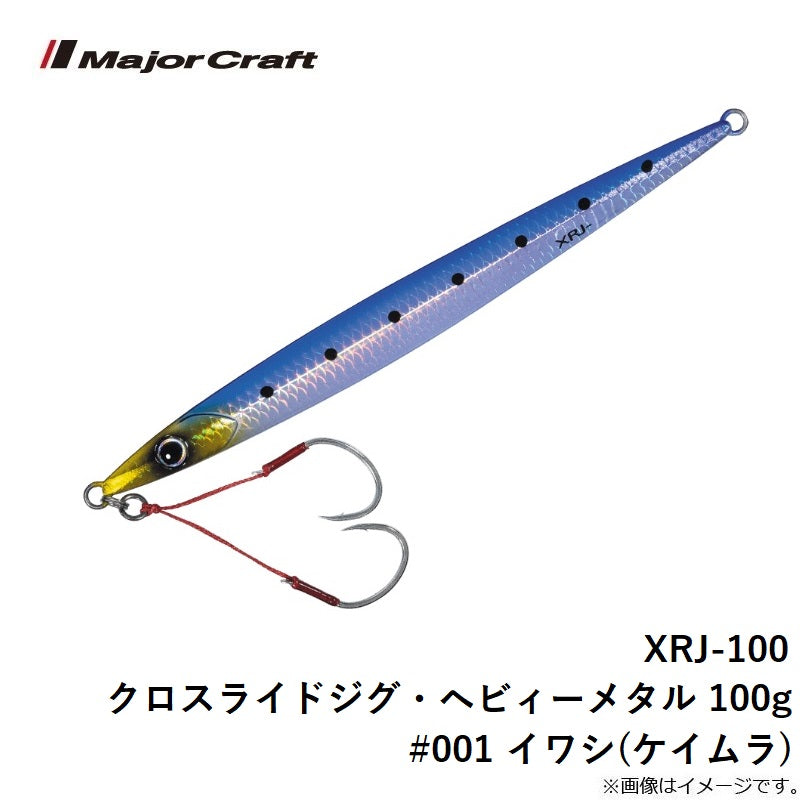 クロスライドジグ ヘビーメタル 100g