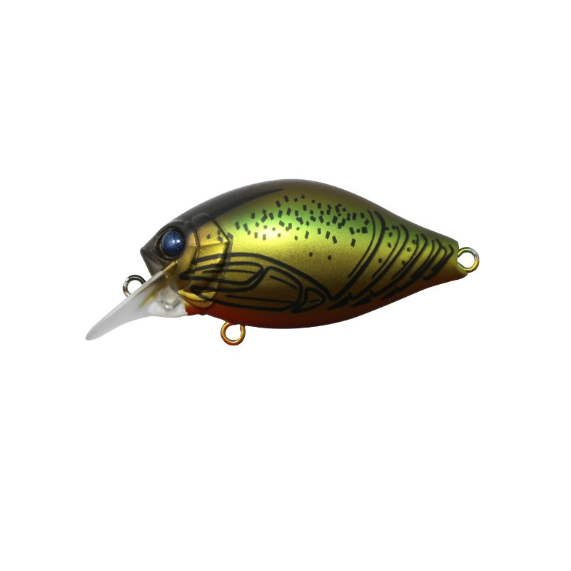 G.C.シャロークランク 40SR チーラ