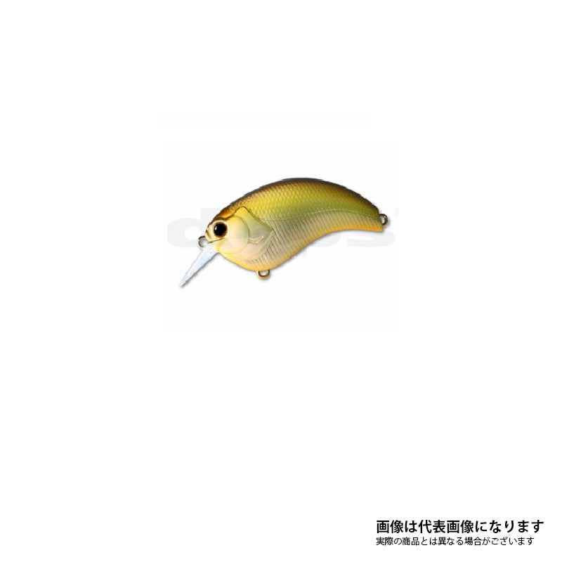 イヴォーク 1.2