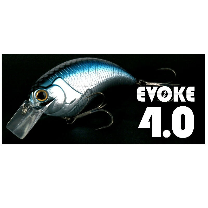 イヴォーク 4.0