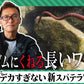 スパテラ 7.8インチ