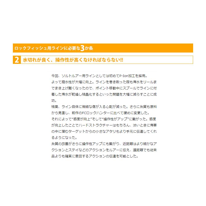 ソルティメイト FCロックハンター2 100m