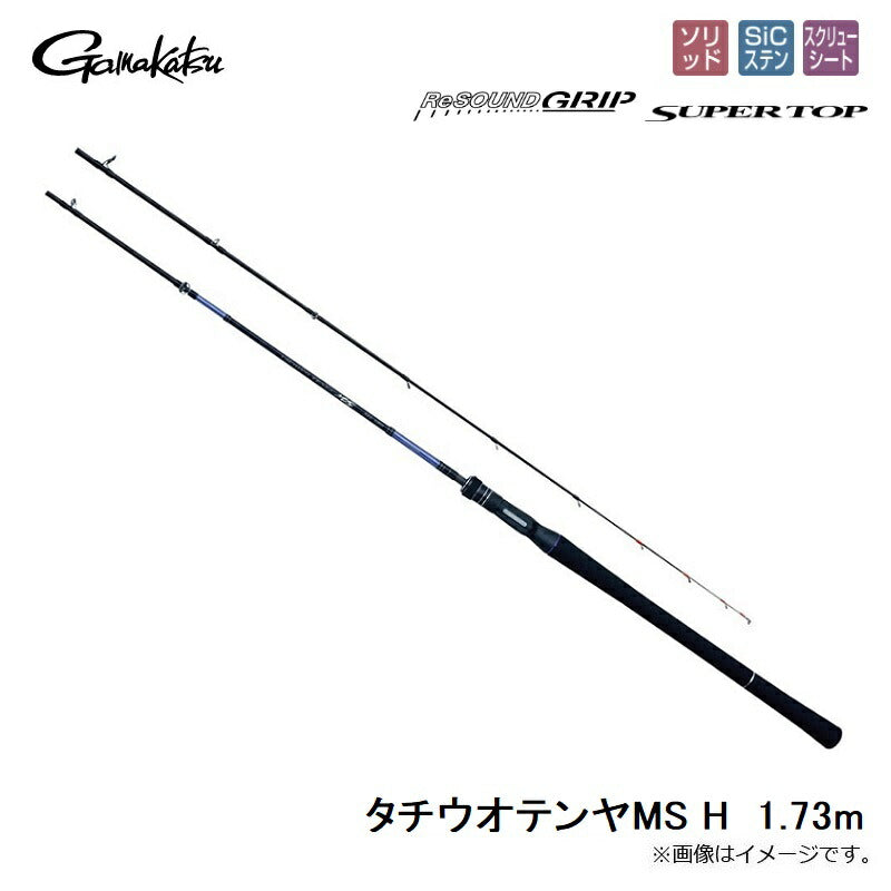タチウオテンヤMS H 1.73m