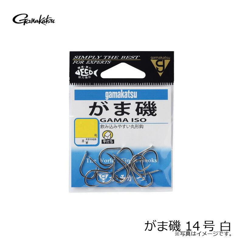 がま磯 白