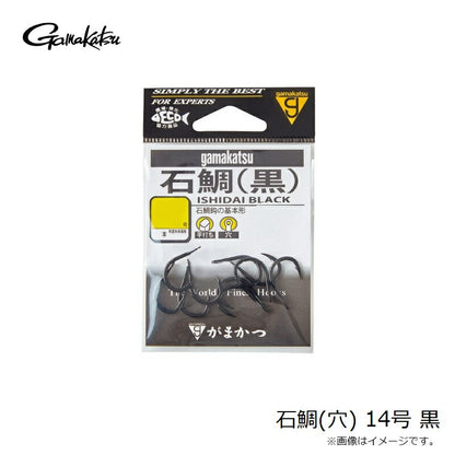 石鯛(穴) 黒