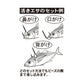 KT-018 海上釣堀 遊動青物泳がせ仕掛 タナとりオモリ仕様