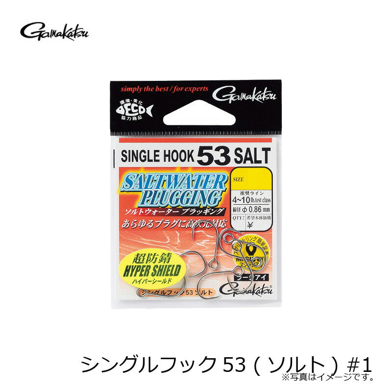 シングルフック 53 ソルト