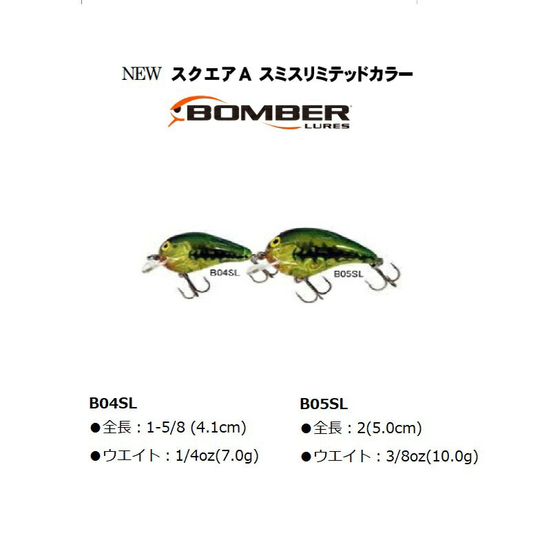 ボーマー スクエアA スミスリミテッドカラー B04SL