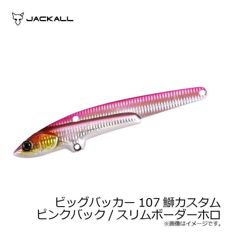 ビッグバッカー107 BURI CUSTOM