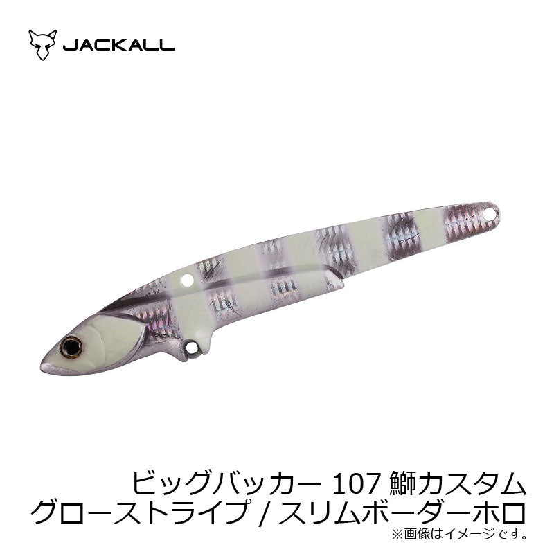 ビッグバッカー107 BURI CUSTOM