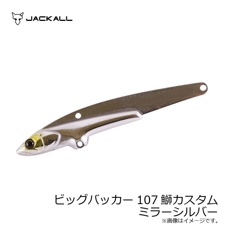 ビッグバッカー107 BURI CUSTOM