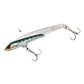 ビッグバッカー107 BURI CUSTOM