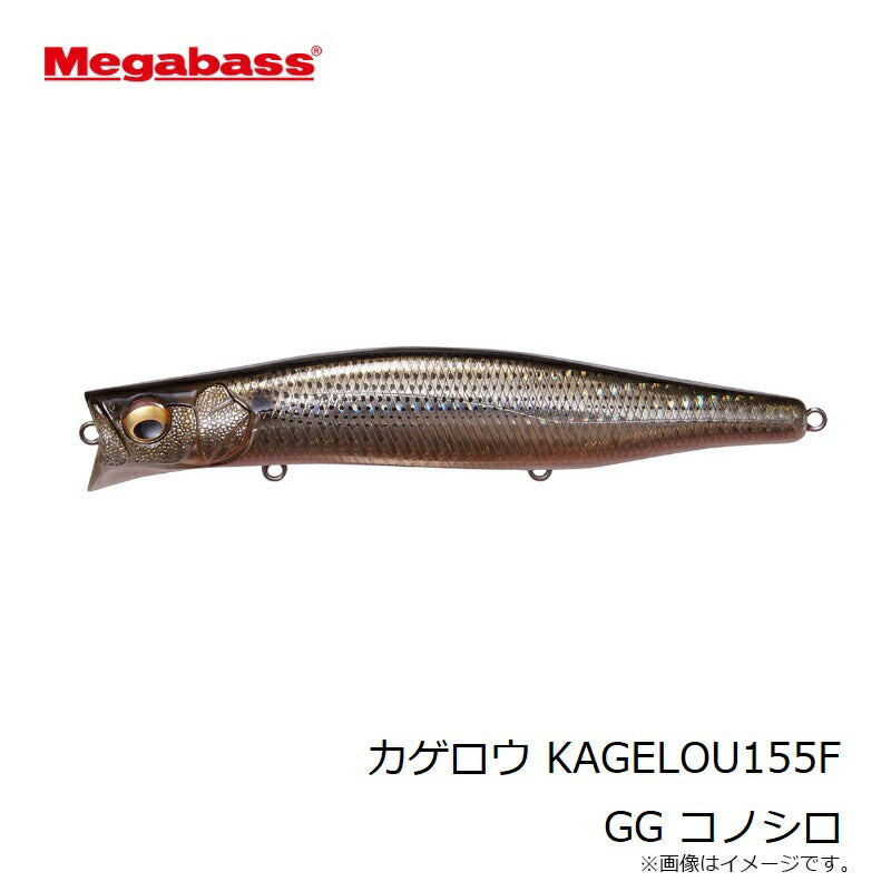カゲロウ 155F