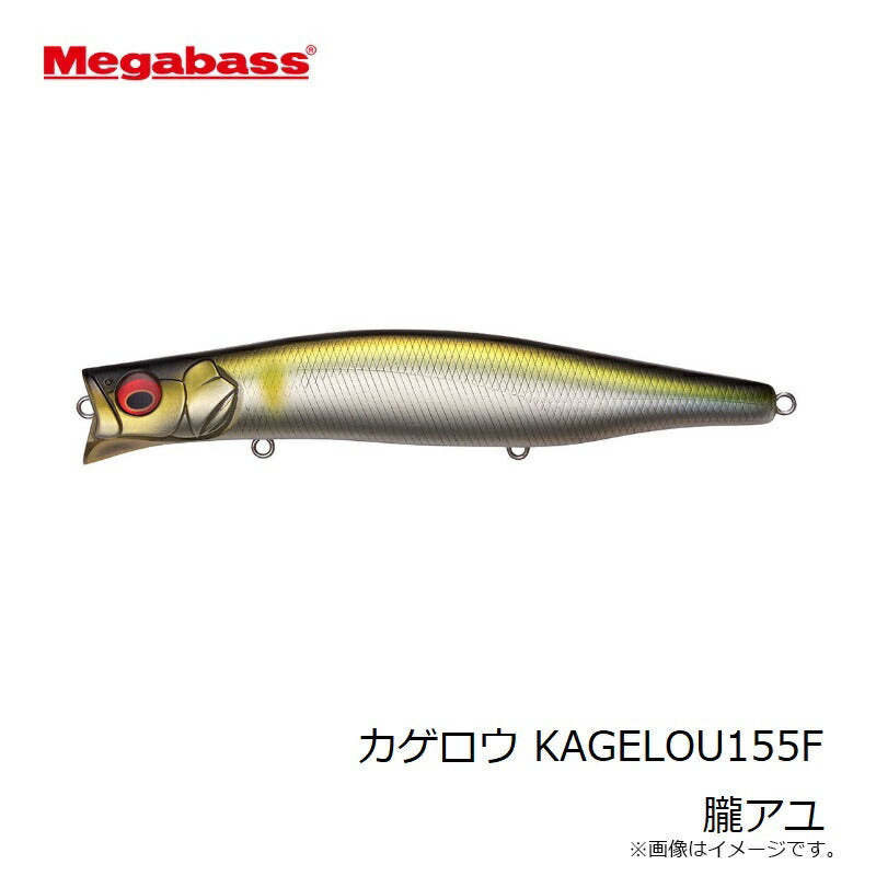 カゲロウ 155F