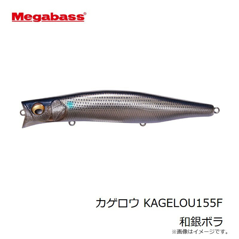 カゲロウ 155F