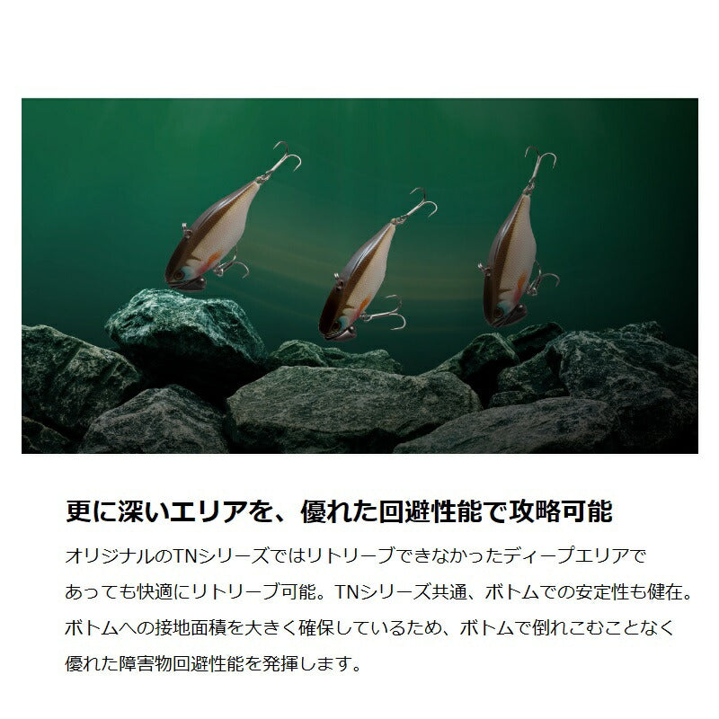 TN60 トリゴン サイレント