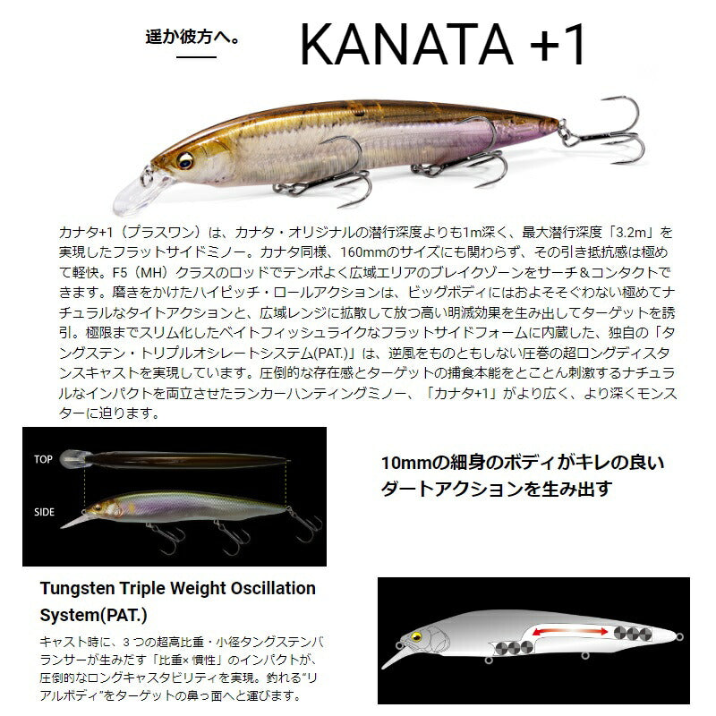 カナタ+1