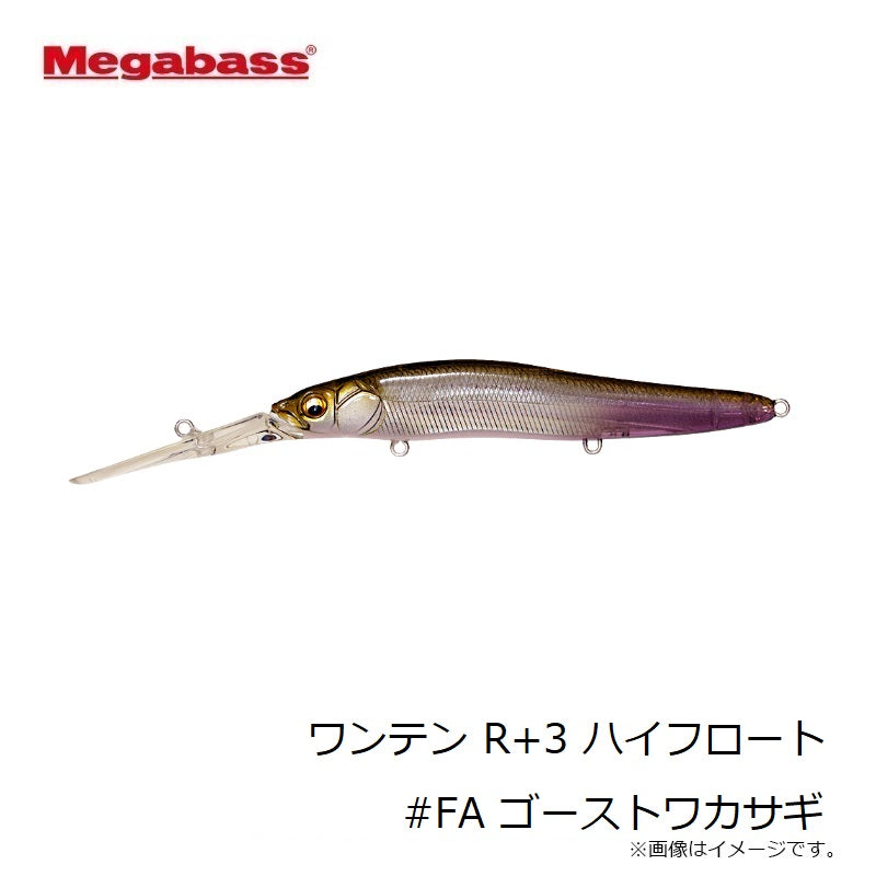 ワンテン R+3 ハイフロート