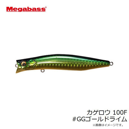 カゲロウ 100F