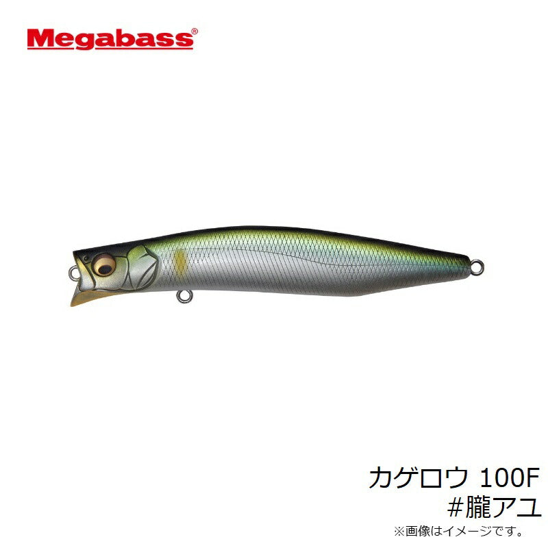 カゲロウ 100F