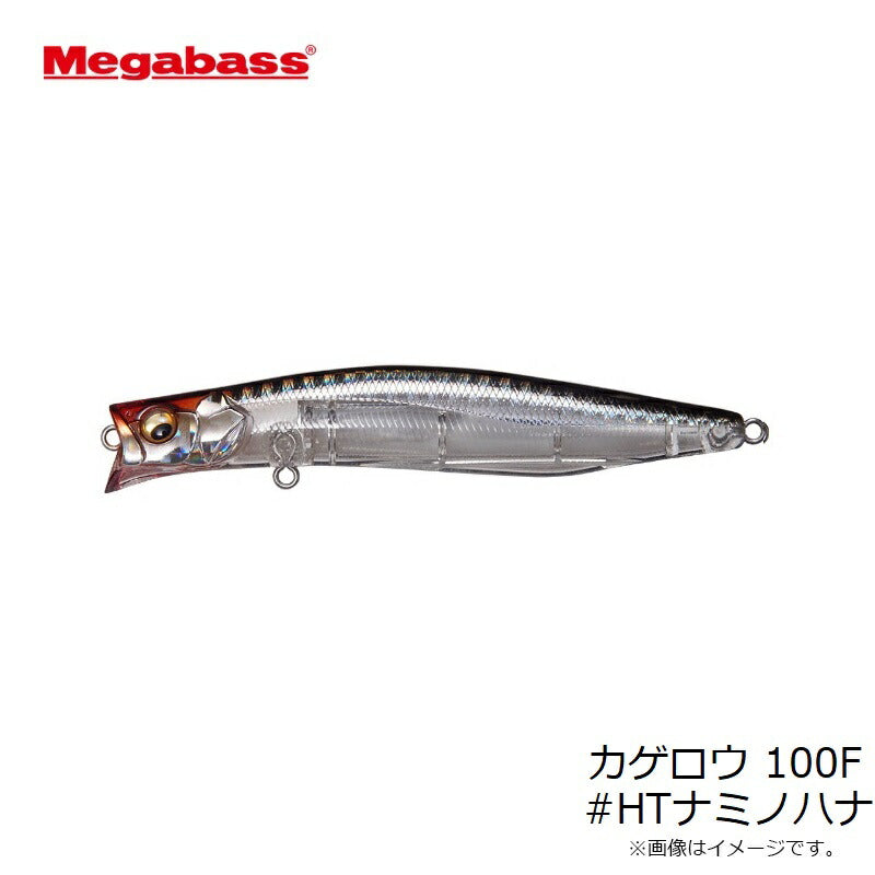 カゲロウ 100F