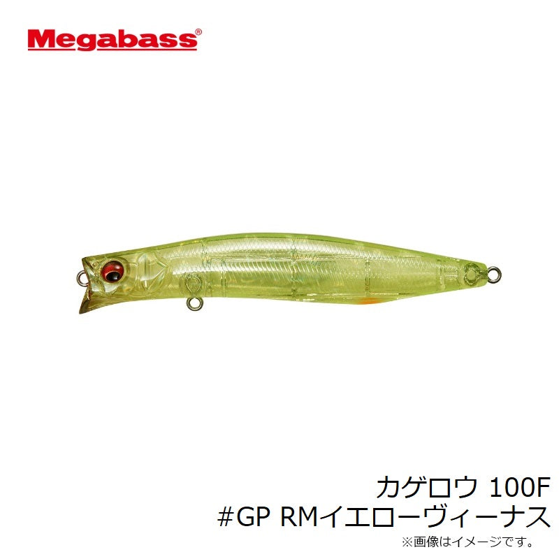 カゲロウ 100F