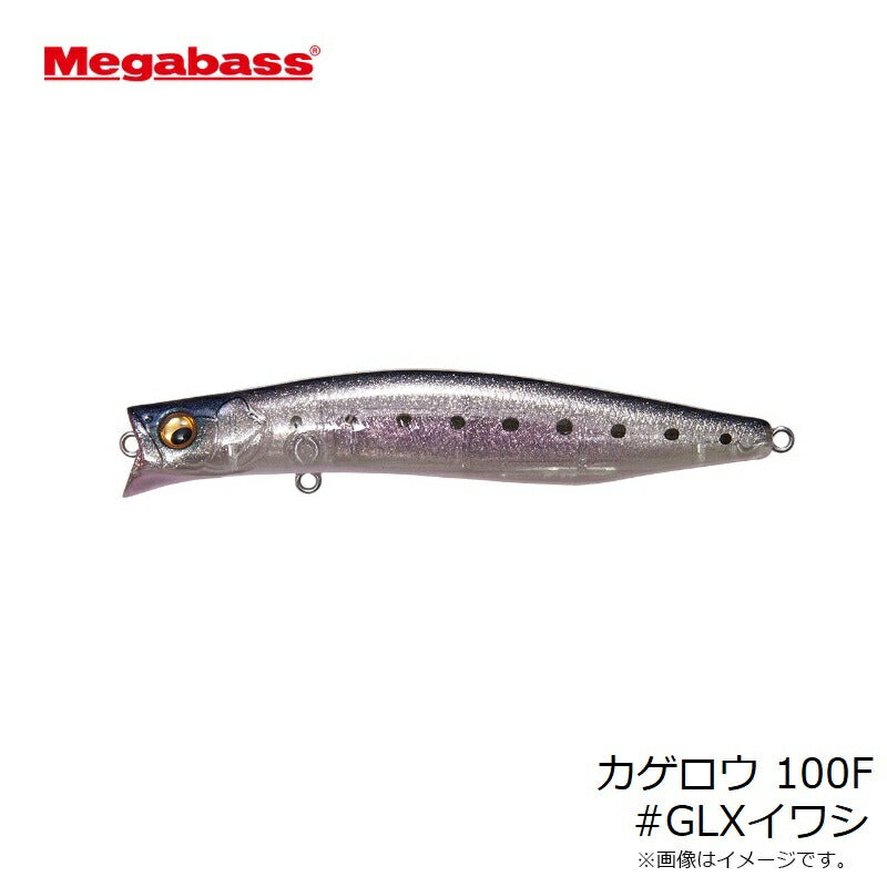カゲロウ 100F
