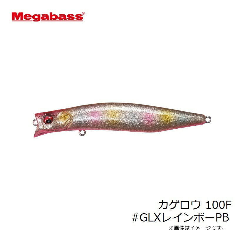 カゲロウ 100F