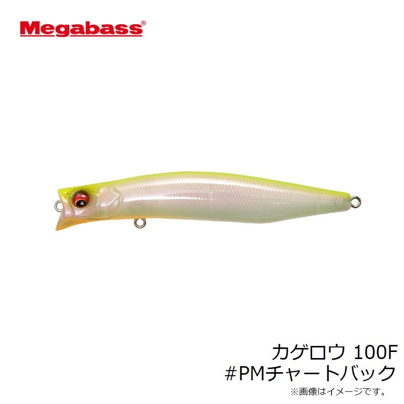 カゲロウ 100F