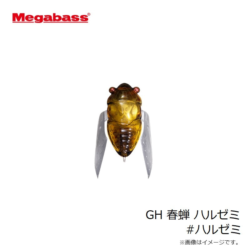 GH 春蝉 ハルゼミ