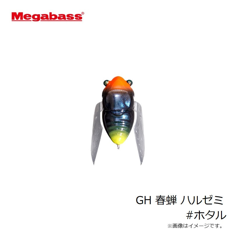 GH 春蝉 ハルゼミ