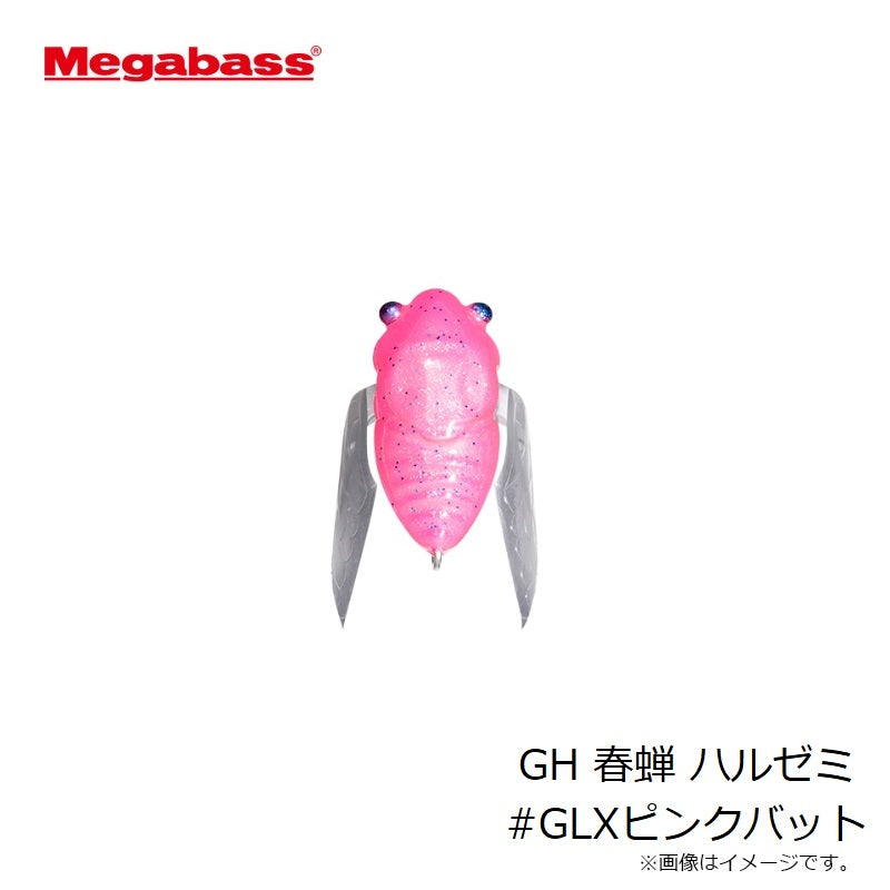 GH 春蝉 ハルゼミ