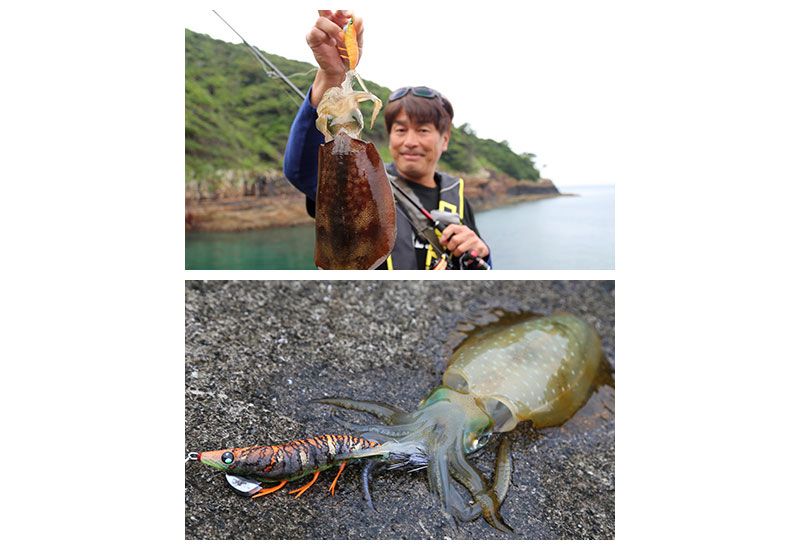 EZ-Q ダートマスター ラトル 3.0号