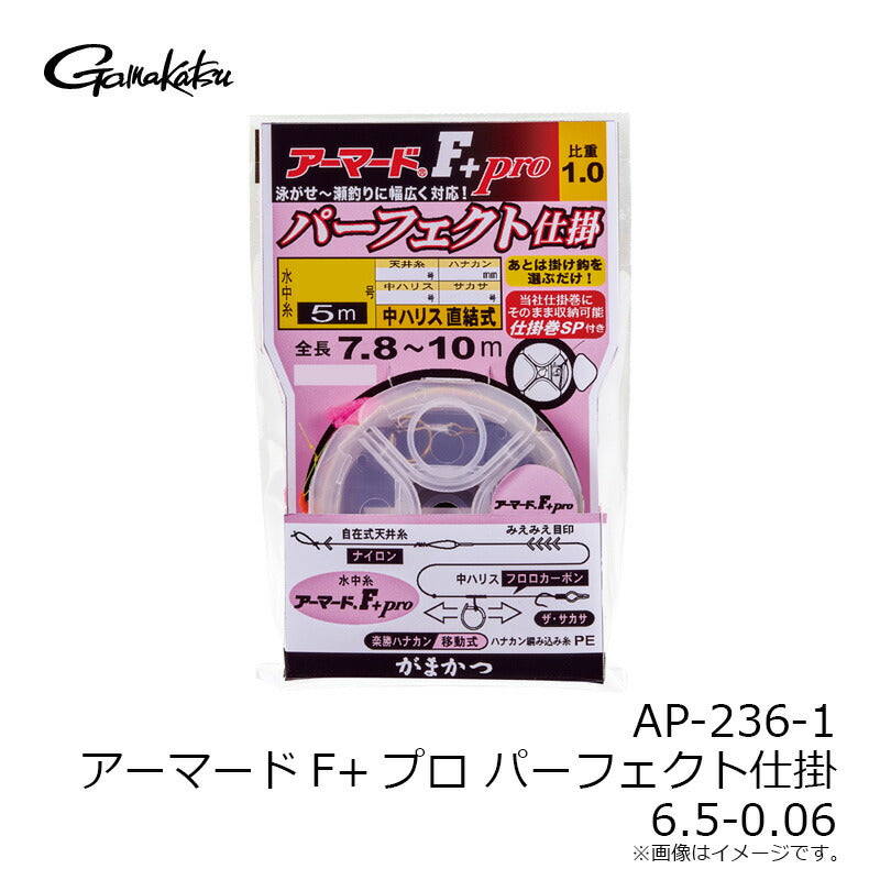 アーマードF+プロ パーフェクト仕掛
