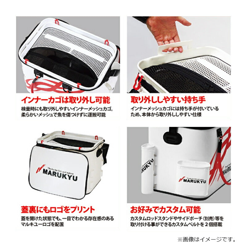 パワーバッカンSL V