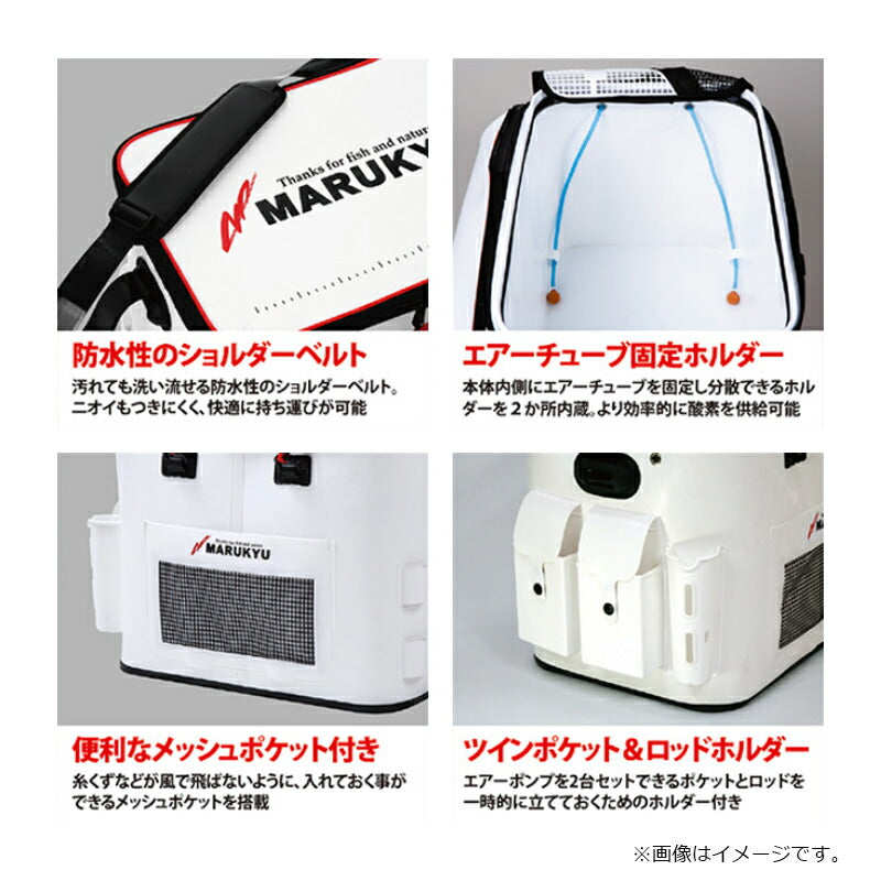 パワーバッカンSL V
