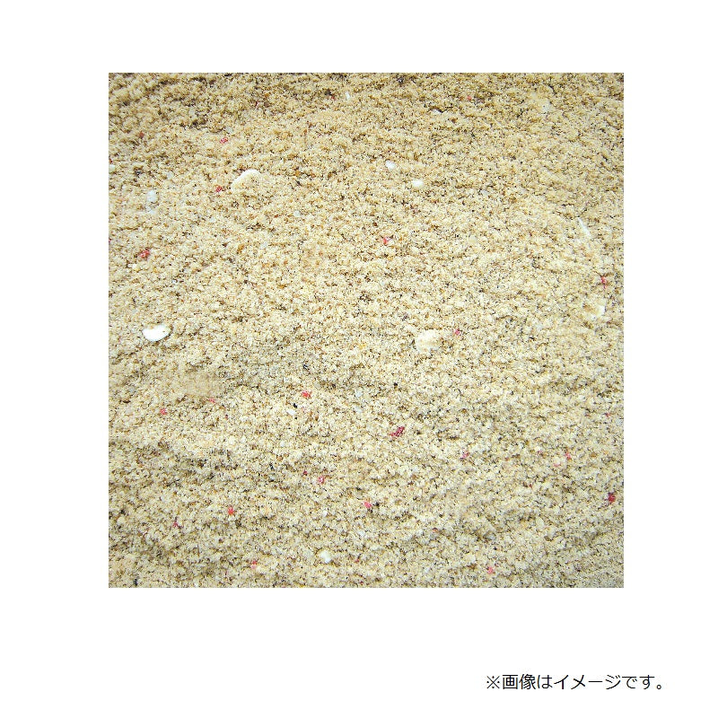 波止ダンゴチヌ