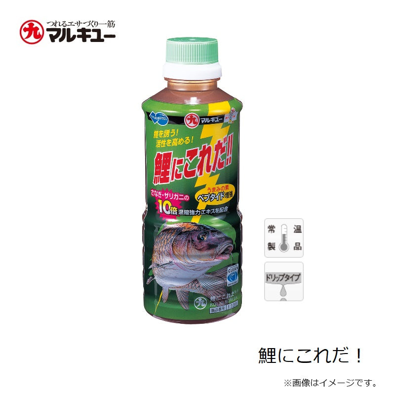 鯉にこれだ！！