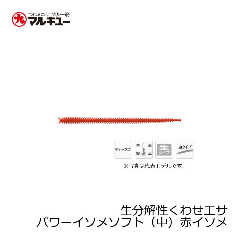 パワーイソメ ソフト （中） 赤イソメ