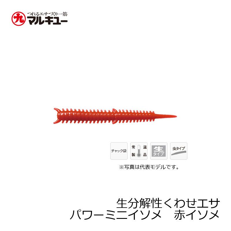 パワーミニイソメ （中） 赤イソメ