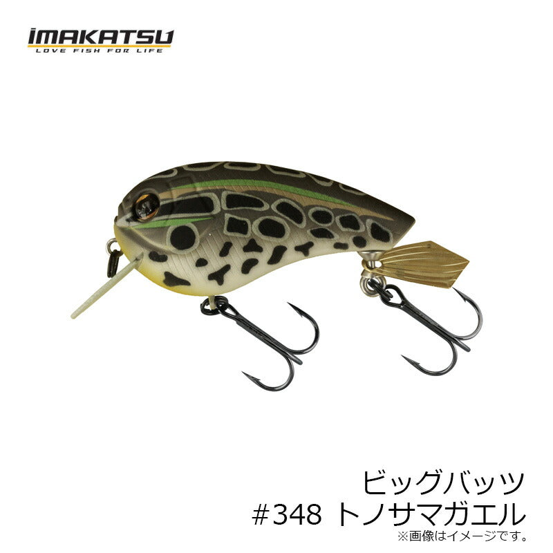 ビッグバッツ