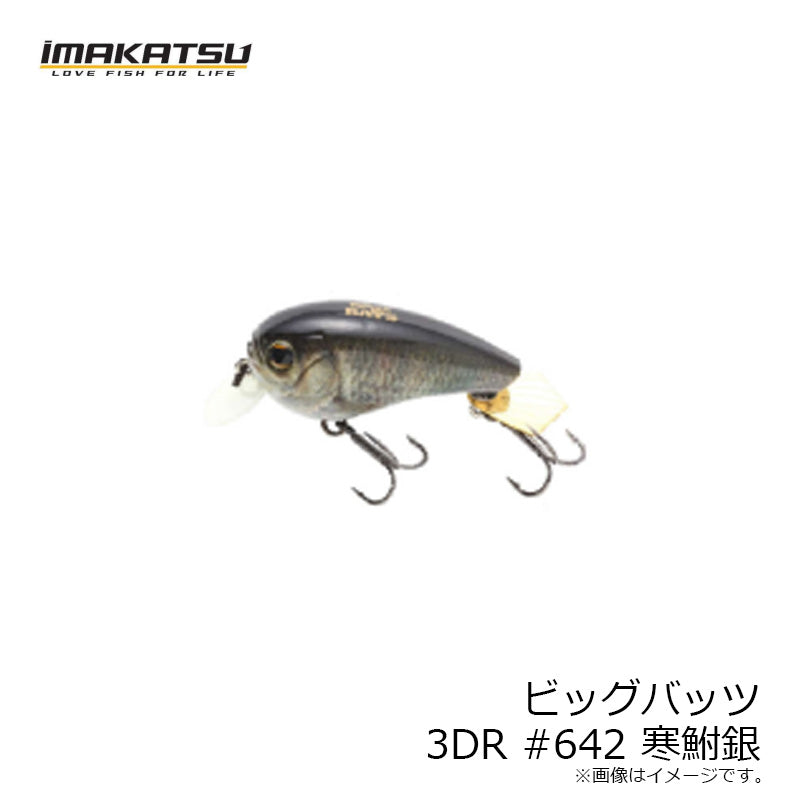 ビッグバッツ