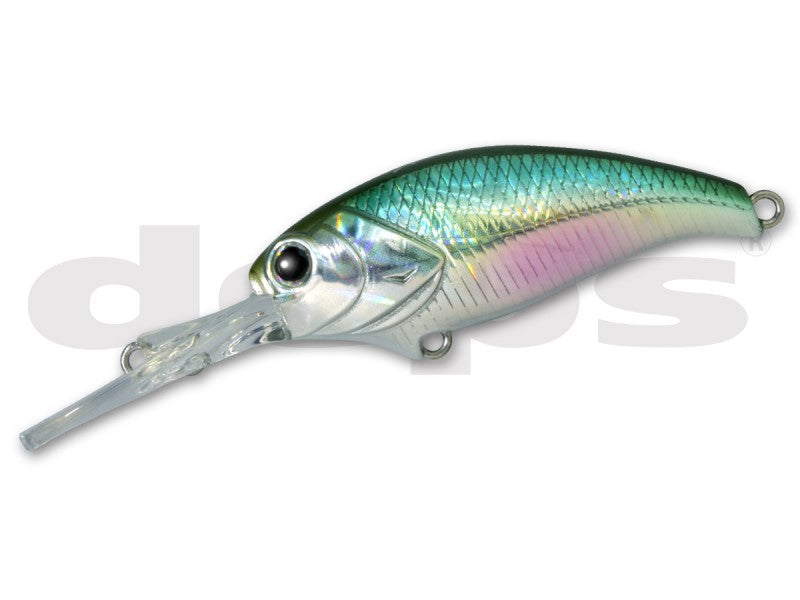 イヴォークシャッド EVOKE SHAD MR