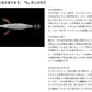 エギ王 K 3