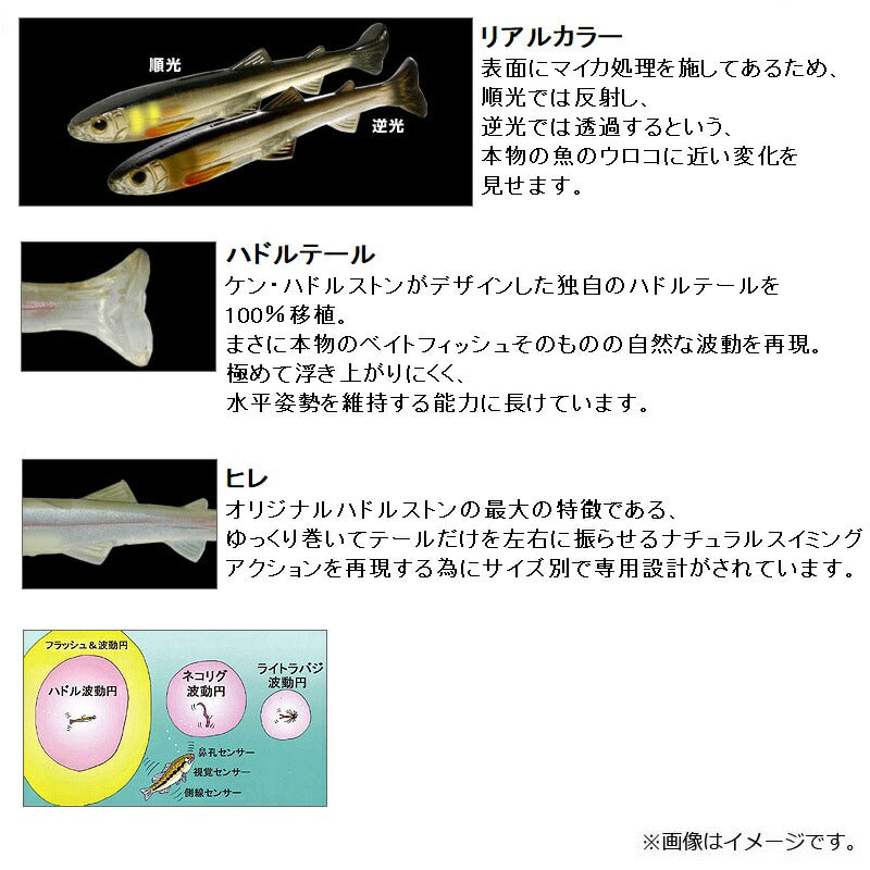 ハドルスイマー 4インチ
